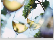 Celebrity Vineyards