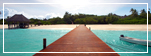 Caribbean