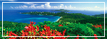 Solstize your vacation