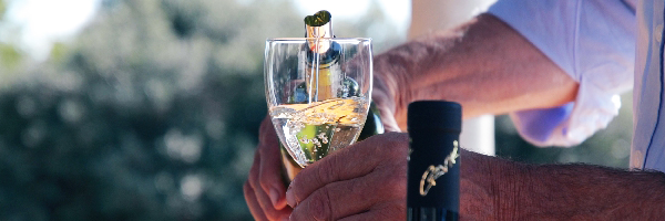 Wine Cruises