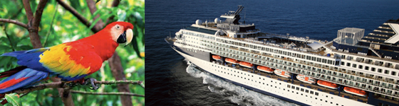 Panama Canal cruises